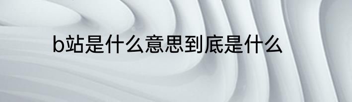 b站是什么意思到底是什么