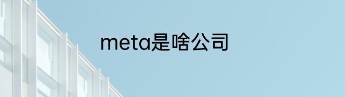 meta是啥公司