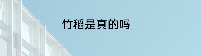 竹稻是真的吗