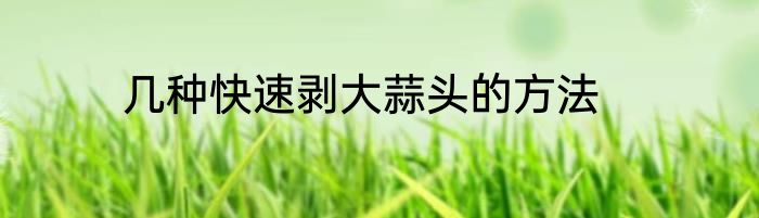 几种快速剥大蒜头的方法