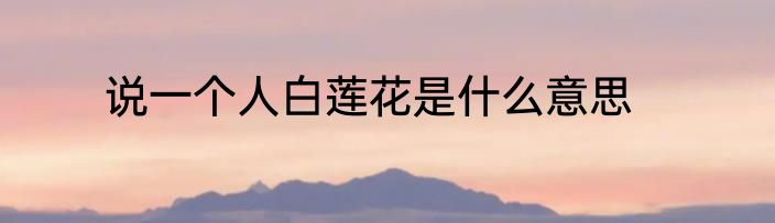 说一个人白莲花是什么意思
