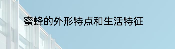 蜜蜂的外形特点和生活特征