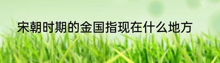 宋朝时期的金国指现在什么地方