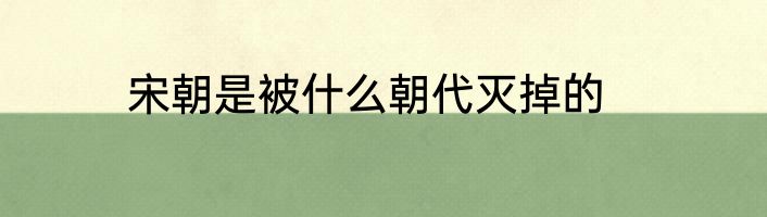 宋朝是被什么朝代灭掉的