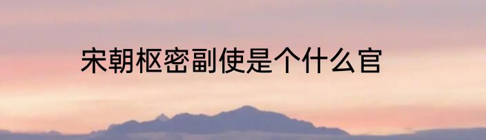 宋朝枢密副使是个什么官
