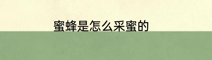 蜜蜂是怎么采蜜的