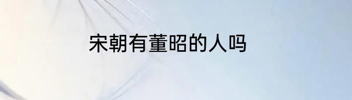 宋朝有董昭的人吗