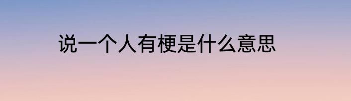 说一个人有梗是什么意思