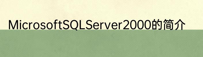 MicrosoftSQLServer2000的简介