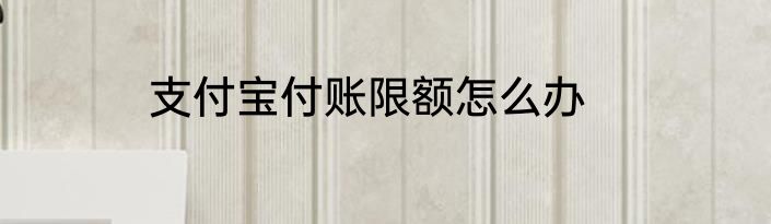 支付宝付账限额怎么办