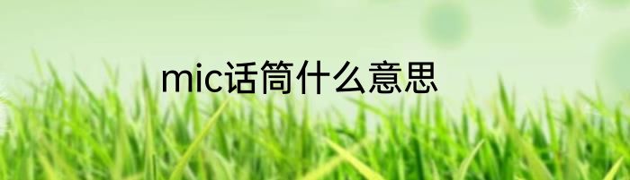 mic话筒什么意思