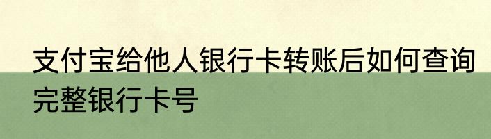 支付宝给他人银行卡转账后如何查询完整银行卡号