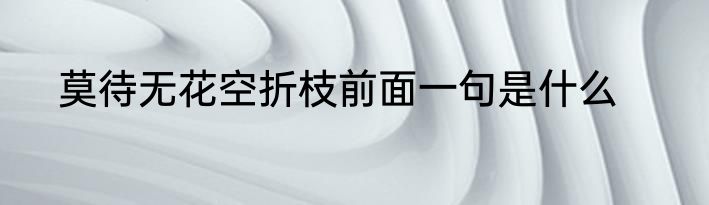 莫待无花空折枝前面一句是什么