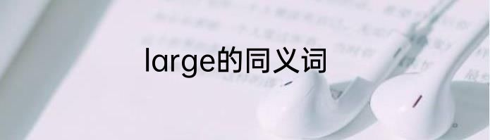 large的同义词