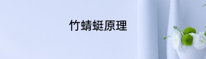 竹蜻蜓原理