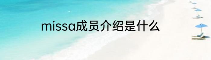 missa成员介绍是什么