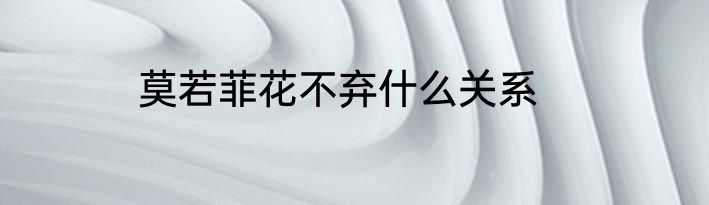 莫若菲花不弃什么关系