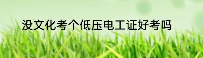 没文化考个低压电工证好考吗