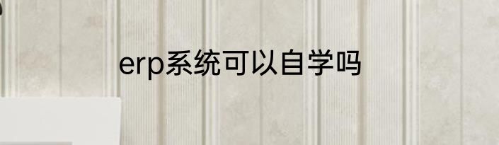 erp系统可以自学吗