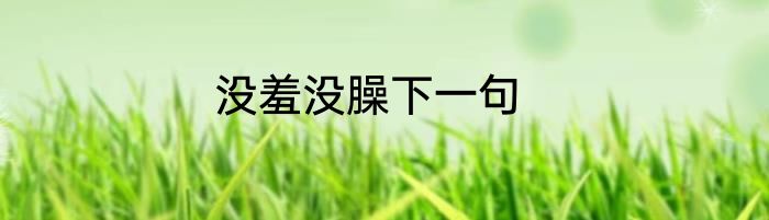 没羞没臊下一句