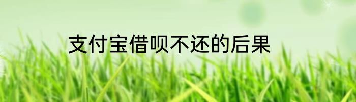 支付宝借呗不还的后果