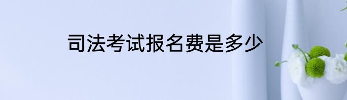 司法考试报名费是多少