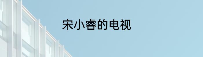 宋小睿的电视