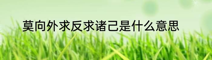 莫向外求反求诸己是什么意思