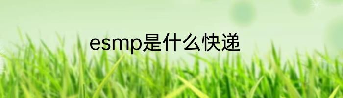 esmp是什么快递