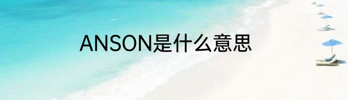 ANSON是什么意思