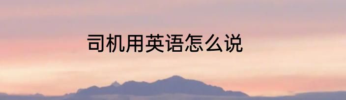 司机用英语怎么说