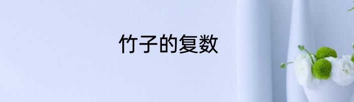 竹子的复数