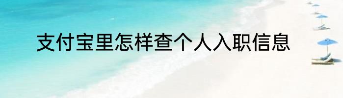 支付宝里怎样查个人入职信息
