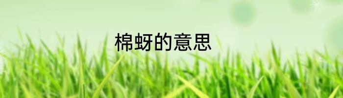 棉蚜的意思