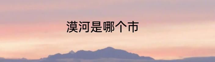 漠河是哪个市