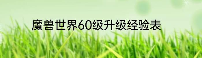 魔兽世界60级升级经验表