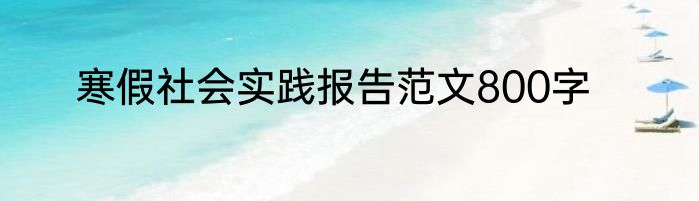 寒假社会实践报告范文800字
