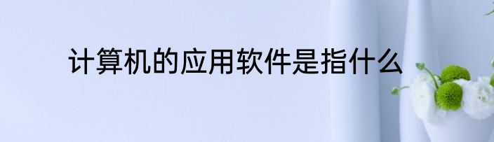 计算机的应用软件是指什么