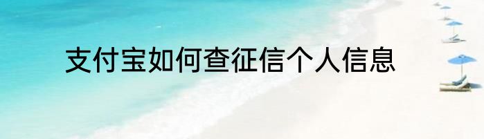 支付宝如何查征信个人信息