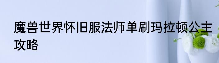 魔兽世界怀旧服法师单刷玛拉顿公主攻略