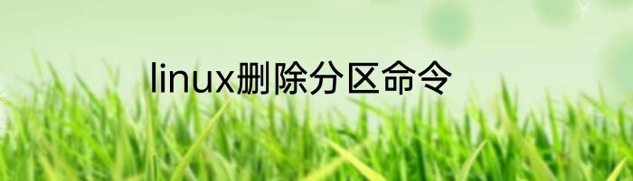linux删除分区命令