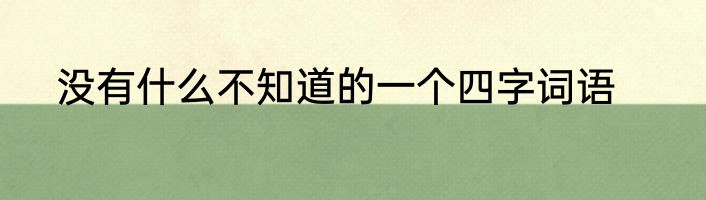 没有什么不知道的一个四字词语