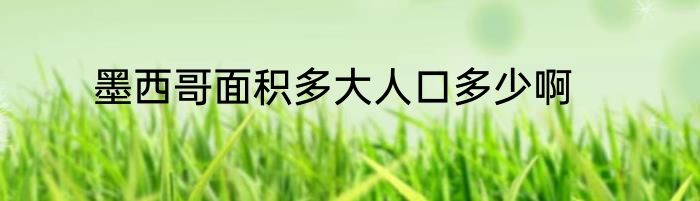 墨西哥面积多大人口多少啊