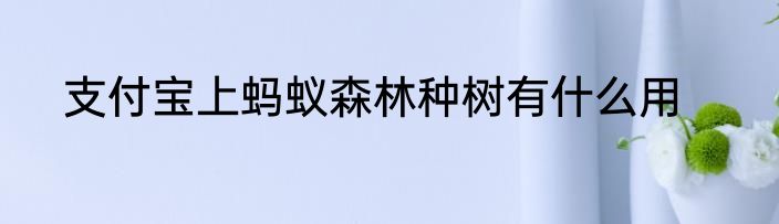 支付宝上蚂蚁森林种树有什么用