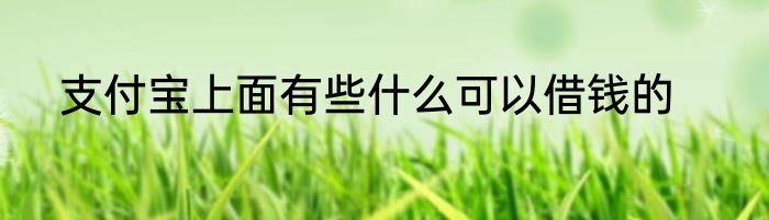 支付宝上面有些什么可以借钱的