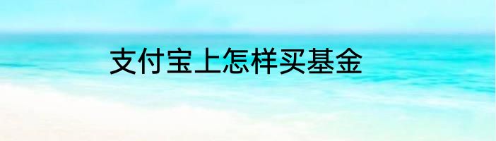 支付宝上怎样买基金