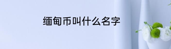 缅甸币叫什么名字