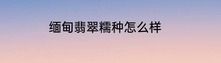 缅甸翡翠糯种怎么样