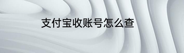支付宝收账号怎么查