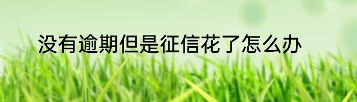 没有逾期但是征信花了怎么办